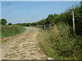 Bridleway, Dorset