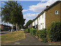 Welwyn: Thistle Grove