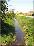 TA0322 : The Beck by David Wright