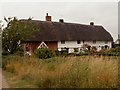 Thatched cottages at Upper Green, Langley, Essex