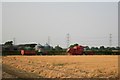 Harvest at Westbrecks Farm