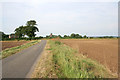 Barley Lane, Foston