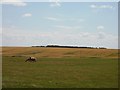 Wide open space, Westruther