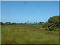 Farmland near Ty