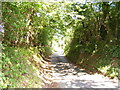 Heightington Road from the ford.