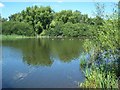 Lake in Mill Green Park