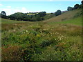 Valley near East Allington