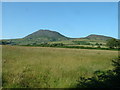 Farmland looking towards Carn Fadryn