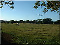 Farmland near Wern Fawr