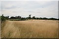 Farmland near Upton