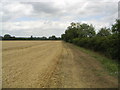 Countryside public footpath