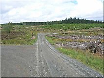 NY7082 : Kielder Forest - three stages by Oliver Dixon