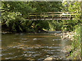 Bog Bridge