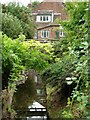 Cocker Beck, Lowdham