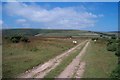 Sheep grazing on Tarr Ball Hill