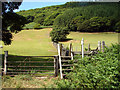 Stile and gate by Pont Cedris