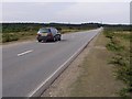 Beaulieu Road, Hilltop Heath, New Forest