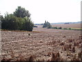 Harvested fields