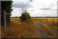 Footpath to Hammonds Rd.