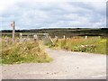 Bridleway across Clyne Common