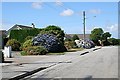 Bungalows in Shortlanesend