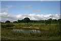 Pond on Undley Common