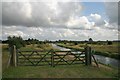 Eriswell Lode at Lakenheath