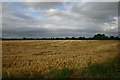 Harvested field at Spring Hall Farm