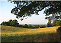 View towards Wrenbury