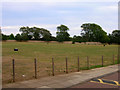 Playing Field, Cardinal Newman School