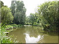 Summer at the Fishing Pond, Carr Lane