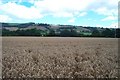 Wheatfield and Cothelstone Hill