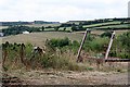 Mixed Farmland and Farm Junk