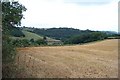 The southern end of the Quantock Hills, near Kingston St. Mary