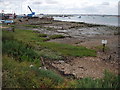 Oyster Beds