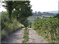 Steep Hill Bridleway