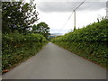 Hedgerows along the B4518