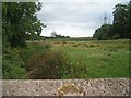 Looking East from Lamphey Mill Bridge