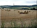 Harvest scene near Shalloch by Mulben.