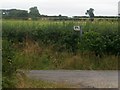 Bridleway and lane to Highgate