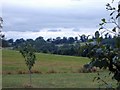 SJ5344 : Wirswall - view from Bradeley Green Lane by Mike Harris