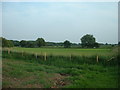 Farmland near Higher Silcock Farm