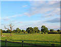 View towards Ightfield from Ashwood Farm