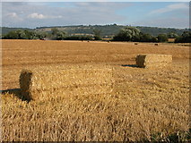 SP0332 : Straw baling opposite Home Farm, Toddington by Philip Halling