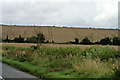 Farmland near Brackwell Farm, near Chearsley