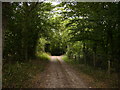 The Mortimer Trail near Lucton