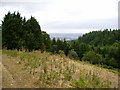 View near Lodge Farm on the Mortimer Trail