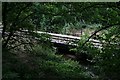 Stream under Railway Line