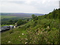 Farm and buildings at Newgate Foot