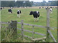 Footpath: Broughton Lane to Harmston